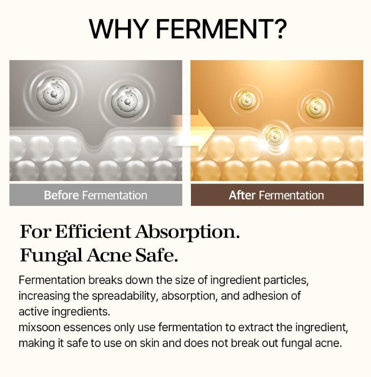 [] Bean Essence - Fermented Soybean Extract for Gentle Exfoliation, Sebum Control & Hydration (50Ml / 1.69 Fl. Oz.)